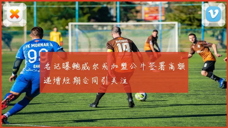 名记曝鲍威尔或加盟公牛签署高额递增短期合同引关注