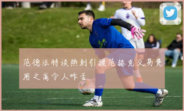 范德法特谈热刺引援范赫克交易费用之高令人咋舌